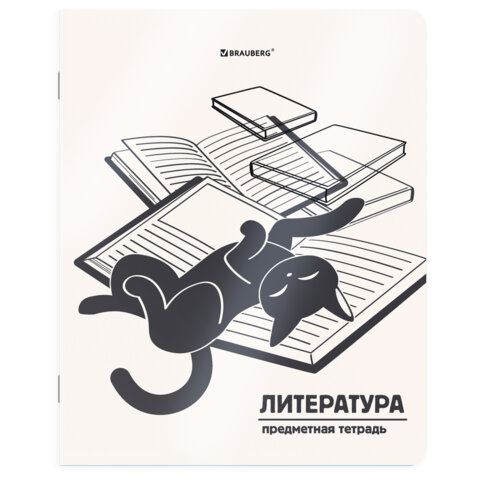 Тетради предметные, КОМПЛЕКТ 12 ПРЕДМЕТОВ 48 л., пластиковая обложка, BRAUBERG "КОТ-НЕПОСЕДА", 405542 - фото 10