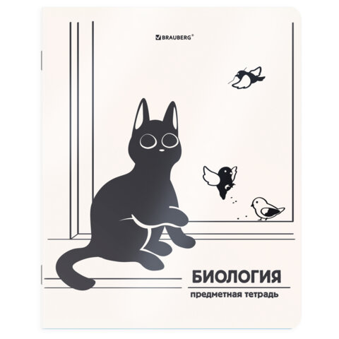 Тетради предметные, КОМПЛЕКТ 12 ПРЕДМЕТОВ 48 л., пластиковая обложка, BRAUBERG "КОТ-НЕПОСЕДА", 405542 - фото 5