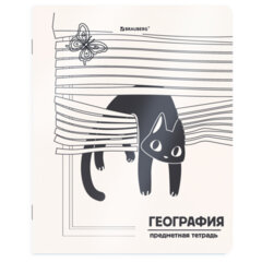 Тетради предметные, КОМПЛЕКТ 12 ПРЕДМЕТОВ 48 л., пластиковая обложка, BRAUBERG &laquo;КОТ-НЕПОСЕДА&raquo;, 405542