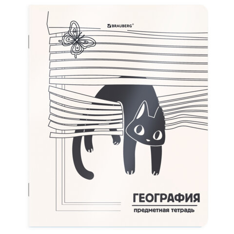 Тетради предметные, КОМПЛЕКТ 12 ПРЕДМЕТОВ 48 л., пластиковая обложка, BRAUBERG "КОТ-НЕПОСЕДА", 405542 - фото 6