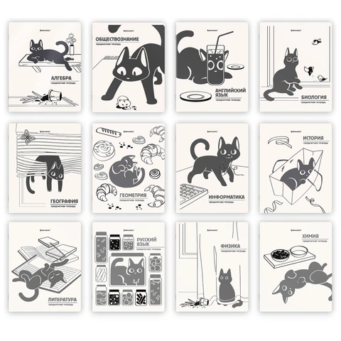 Тетради предметные, КОМПЛЕКТ 12 ПРЕДМЕТОВ 48 л., пластиковая обложка, BRAUBERG "КОТ-НЕПОСЕДА", 405542