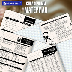 Тетради предметные, КОМПЛЕКТ 12 ПРЕДМЕТОВ 48 л., пластиковая обложка, BRAUBERG "КОТ-НЕПОСЕДА", 405542