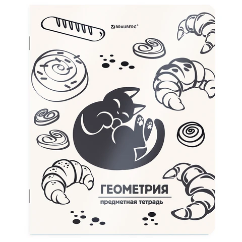 Тетради предметные, КОМПЛЕКТ 12 ПРЕДМЕТОВ 48 л., пластиковая обложка, BRAUBERG "КОТ-НЕПОСЕДА", 405542 - фото 7