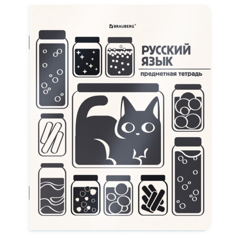 Тетради предметные, КОМПЛЕКТ 12 ПРЕДМЕТОВ 48 л., пластиковая обложка, BRAUBERG "КОТ-НЕПОСЕДА", 405542 - фото 11