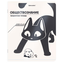 Тетради предметные, КОМПЛЕКТ 12 ПРЕДМЕТОВ 48 л., пластиковая обложка, BRAUBERG &laquo;КОТ-НЕПОСЕДА&raquo;, 405542
