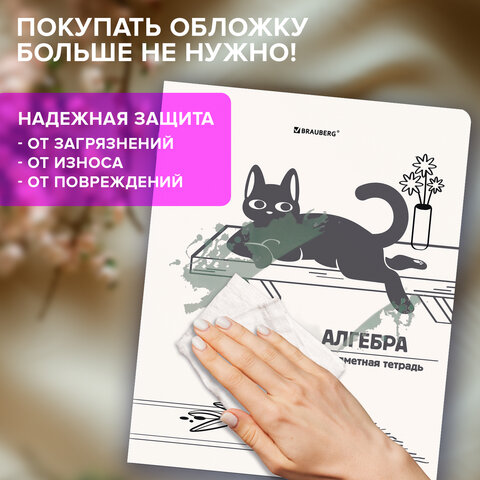 Тетради предметные, КОМПЛЕКТ 12 ПРЕДМЕТОВ 48 л., пластиковая обложка, BRAUBERG "КОТ-НЕПОСЕДА", 405542 - фото 22