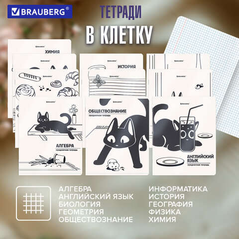 Тетради предметные, КОМПЛЕКТ 12 ПРЕДМЕТОВ 48 л., пластиковая обложка, BRAUBERG "КОТ-НЕПОСЕДА", 405542 - фото 20