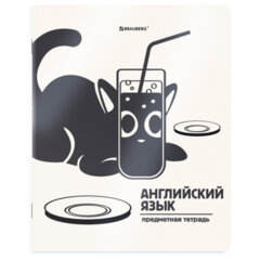 Тетради предметные, КОМПЛЕКТ 12 ПРЕДМЕТОВ 48 л., пластиковая обложка, BRAUBERG &laquo;КОТ-НЕПОСЕДА&raquo;, 405542