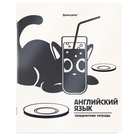Тетради предметные, КОМПЛЕКТ 12 ПРЕДМЕТОВ 48 л., пластиковая обложка, BRAUBERG "КОТ-НЕПОСЕДА", 405542 - фото 4