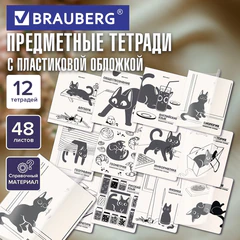 Тетради предметные, КОМПЛЕКТ 12 ПРЕДМЕТОВ 48 л., пластиковая обложка, BRAUBERG "КОТ-НЕПОСЕДА", 405542