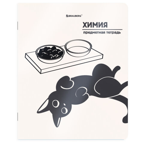 Тетради предметные, КОМПЛЕКТ 12 ПРЕДМЕТОВ 48 л., пластиковая обложка, BRAUBERG "КОТ-НЕПОСЕДА", 405542 - фото 13
