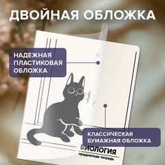 Тетради предметные, КОМПЛЕКТ 12 ПРЕДМЕТОВ 48 л., пластиковая обложка, BRAUBERG "КОТ-НЕПОСЕДА", 405542