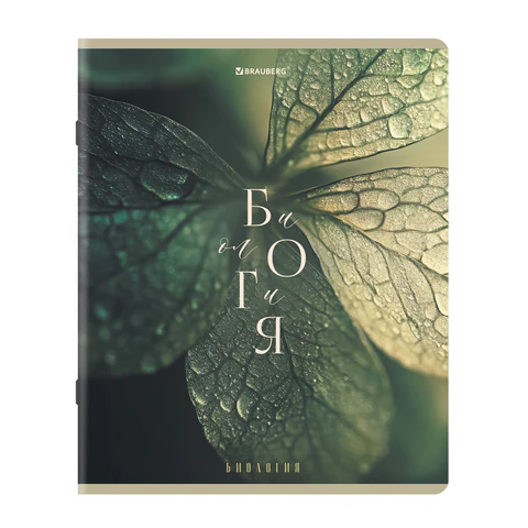 Тетради предметные, КОМПЛЕКТ 12 ПРЕДМЕТОВ 48 л., пластиковая обложка, BRAUBERG "PURE NATURE", 405543 - фото 4