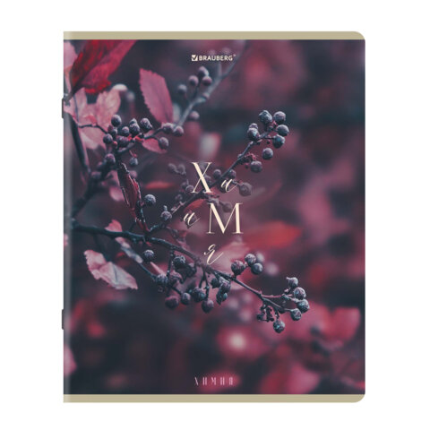 Тетради предметные, КОМПЛЕКТ 12 ПРЕДМЕТОВ 48 л., пластиковая обложка, BRAUBERG "PURE NATURE", 405543 - фото 13