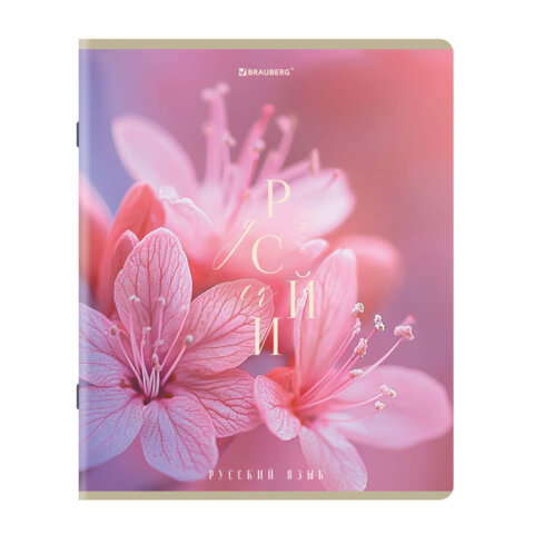 Тетради предметные, КОМПЛЕКТ 12 ПРЕДМЕТОВ 48 л., пластиковая обложка, BRAUBERG "PURE NATURE", 405543 - фото 11