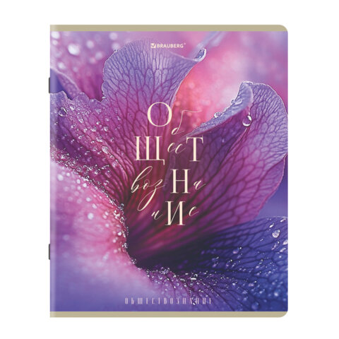 Тетради предметные, КОМПЛЕКТ 12 ПРЕДМЕТОВ 48 л., пластиковая обложка, BRAUBERG "PURE NATURE", 405543 - фото 10