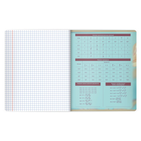 Тетради предметные, КОМПЛЕКТ 12 ПРЕДМЕТОВ 48 л., пластиковая обложка, BRAUBERG "PURE NATURE", 405543 - фото 15