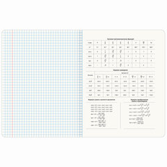 Тетрадь предметная &laquo;BLOSSOM&raquo; 48 л., рельефный картон, АЛГЕБРА, клетка, подсказки, BRAUBERG, 405590