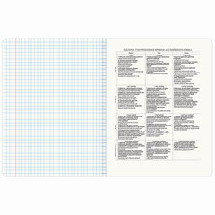 Тетрадь предметная &laquo;BLOSSOM&raquo; 48 л., рельефный картон, АНГЛИЙСКИЙ ЯЗЫК, клетка, подсказки, BRAUBERG, 405592