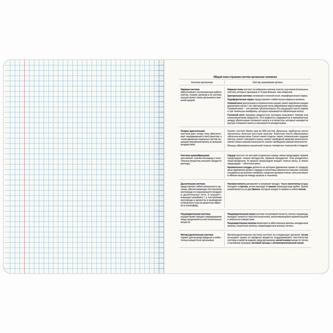 Тетрадь предметная "BLOSSOM" 48 л., рельефный картон, БИОЛОГИЯ, клетка, подсказки, BRAUBERG, 405593