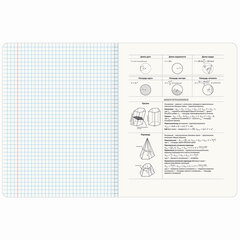 Тетрадь предметная &laquo;BLOSSOM&raquo; 48 л., рельефное тиснение, ГЕОМЕТРИЯ, клетка, подсказки, BRAUBERG, 405595