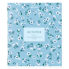 Тетрадь предметная &laquo;BLOSSOM&raquo; 48 л., рельефный картон, ИСТОРИЯ, клетка, подсказки, BRAUBERG, 405597