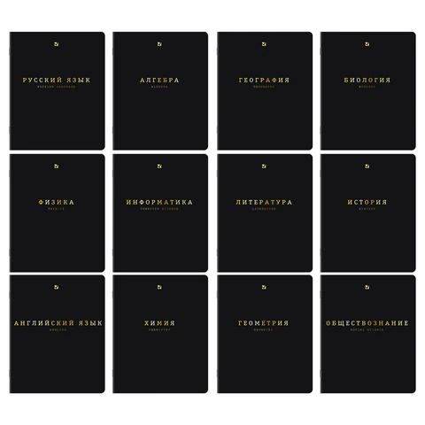 Тетради предметные, КОМПЛЕКТ 12 ПРЕДМЕТОВ, 48 л., Soft-Touch, 3D-фольга, BRAUBERG, "BLACK GOLD", 405602