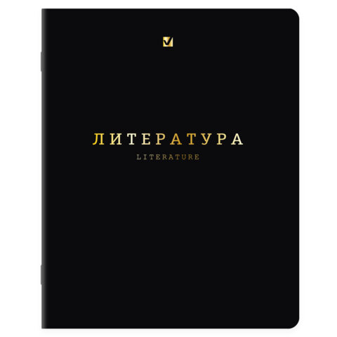 Тетради предметные, КОМПЛЕКТ 12 ПРЕДМЕТОВ, 48 л., Soft-Touch, 3D-фольга, BRAUBERG, "BLACK GOLD", 405602 - фото 8