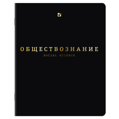 Тетради предметные, КОМПЛЕКТ 12 ПРЕДМЕТОВ, 48 л., Soft-Touch, 3D-фольга, BRAUBERG, "BLACK GOLD", 405602 - фото 13