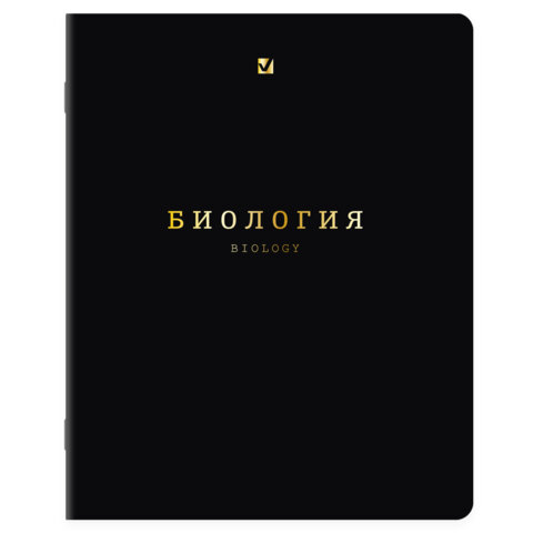 Тетради предметные, КОМПЛЕКТ 12 ПРЕДМЕТОВ, 48 л., Soft-Touch, 3D-фольга, BRAUBERG, "BLACK GOLD", 405602 - фото 5