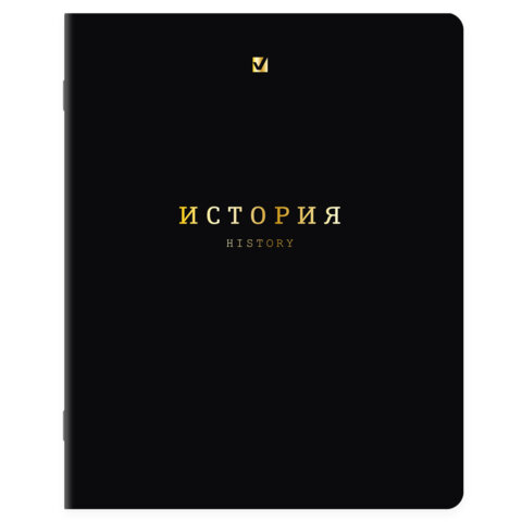 Тетради предметные, КОМПЛЕКТ 12 ПРЕДМЕТОВ, 48 л., Soft-Touch, 3D-фольга, BRAUBERG, "BLACK GOLD", 405602 - фото 9