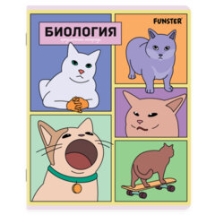 Тетради предметные, КОМПЛЕКТ 12 ПРЕДМЕТОВ, 48 л., TWIN-лак, FUNSTER (ФАНСТЕР), МЕМНЫЕ КОТЫ, 405604