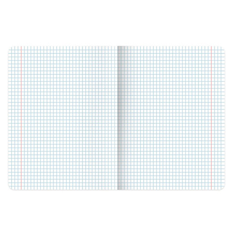 Тетради предметные, КОМПЛЕКТ 12 ПРЕДМЕТОВ, 48 л., матовая ламинация, BRAUBERG, "ПРИРОДА", 405606