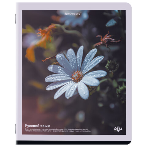 Тетради предметные, КОМПЛЕКТ 12 ПРЕДМЕТОВ, 48 л., матовая ламинация, BRAUBERG, "ПРИРОДА", 405606