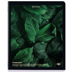 Тетради предметные, КОМПЛЕКТ 12 ПРЕДМЕТОВ, 48 л., матовая ламинация, BRAUBERG, &laquo;ПРИРОДА&raquo;, 405606