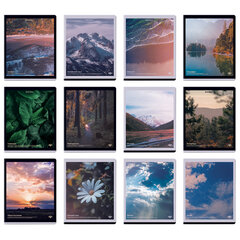 Тетради предметные, КОМПЛЕКТ 12 ПРЕДМЕТОВ, 48 л., матовая ламинация, BRAUBERG, &laquo;ПРИРОДА&raquo;, 405606