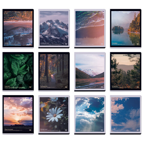 Тетради предметные, КОМПЛЕКТ 12 ПРЕДМЕТОВ, 48 л., матовая ламинация, BRAUBERG, "ПРИРОДА", 405606