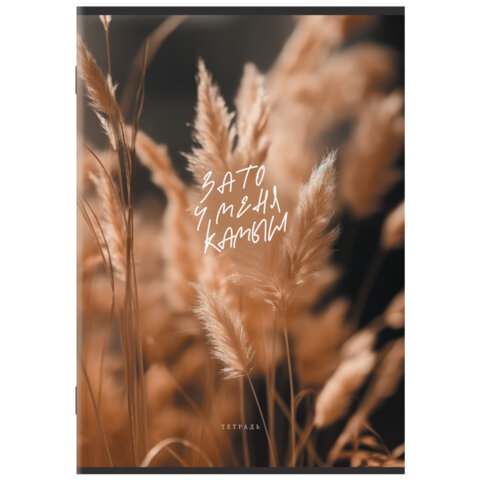 Тетрадь А4 80 л. STAFF "College" скоба, клетка, офсет №2 ЭКОНОМ, обложка картон, ЭСТЕТИКА, 405617 - фото 4