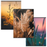 Тетрадь А4 80 л. STAFF "College" скоба, клетка, офсет №2 ЭКОНОМ, обложка картон, ЭСТЕТИКА, 405617