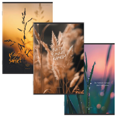 Тетрадь А4 80 л. STAFF "College" скоба, клетка, офсет №2 ЭКОНОМ, обложка картон, ЭСТЕТИКА, 405617