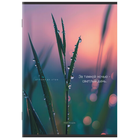 Тетрадь А4 80 л. STAFF "College" скоба, клетка, офсет №2 ЭКОНОМ, обложка картон, ЭСТЕТИКА, 405617 - фото 5