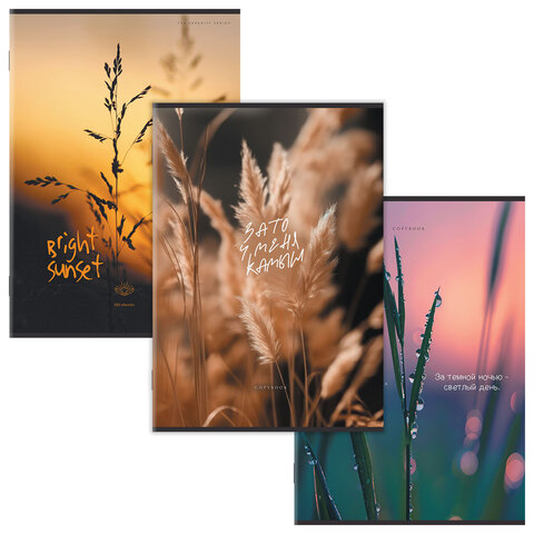 ������� �4 80 �. STAFF College �����, ������, ����� 2 ������, ������� ������, �������, 405617 �����