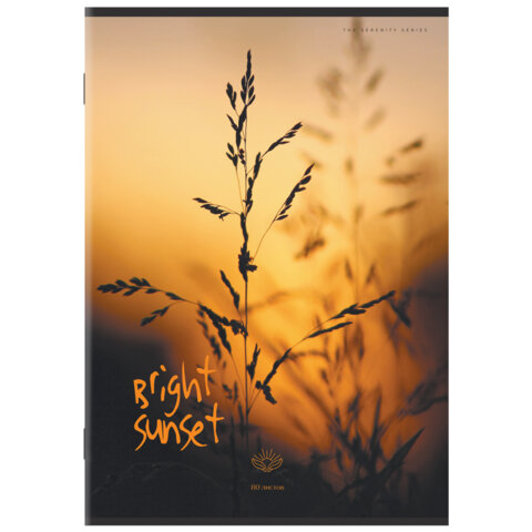 Тетрадь А4 80 л. STAFF "College" скоба, клетка, офсет №2 ЭКОНОМ, обложка картон, ЭСТЕТИКА, 405617 - фото 6