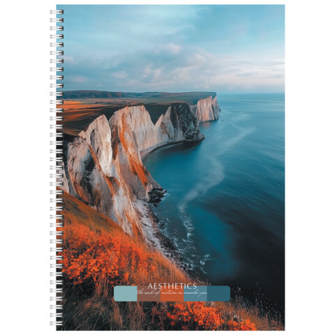 Тетрадь А4 96 л. STAFF "College" гребень, клетка, офсет №2 ЭКОНОМ, обложка картон, ПРИРОДА, 405619 - фото 6