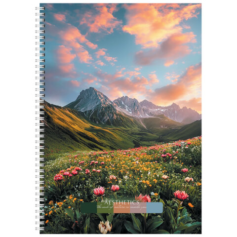 Тетрадь А4 96 л. STAFF "College" гребень, клетка, офсет №2 ЭКОНОМ, обложка картон, ПРИРОДА, 405619 - фото 7