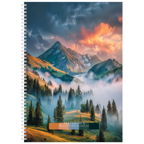 Тетрадь А4 96 л. STAFF "College" гребень, клетка, офсет №2 ЭКОНОМ, обложка картон, ПРИРОДА, 405619 - фото 4