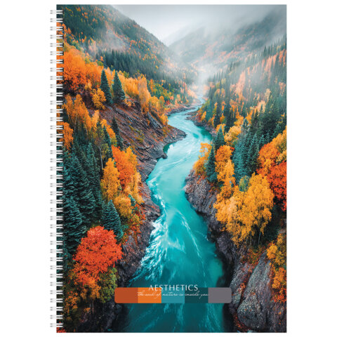 Тетрадь А4 96 л. STAFF "College" гребень, клетка, офсет №2 ЭКОНОМ, обложка картон, ПРИРОДА, 405619 - фото 5