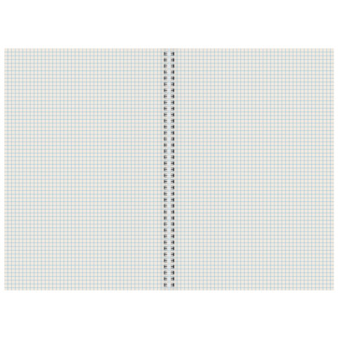 Тетрадь А4 96 л. STAFF "College" гребень, клетка, офсет №2 ЭКОНОМ, обложка картон, ПРИРОДА, 405619 - фото 2