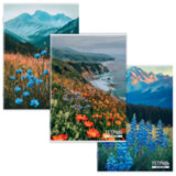 Тетрадь А4 96 л. STAFF "College" скоба, клетка, офсет №2 ЭКОНОМ, обложка картон, ГОРНЫЕ ЦВЕТЫ, 405621