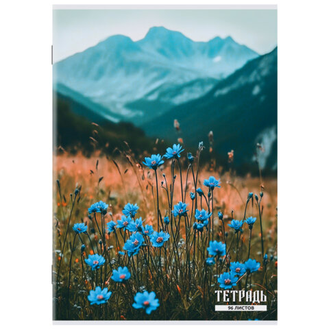 Тетрадь А4 96 л. STAFF "College" скоба, клетка, офсет №2 ЭКОНОМ, обложка картон, ГОРНЫЕ ЦВЕТЫ, 405621 - фото 4